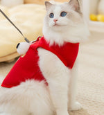 Cat autumn and winter warm early autumn thin velvet cute hairless cat big eyes cute traction clothes
