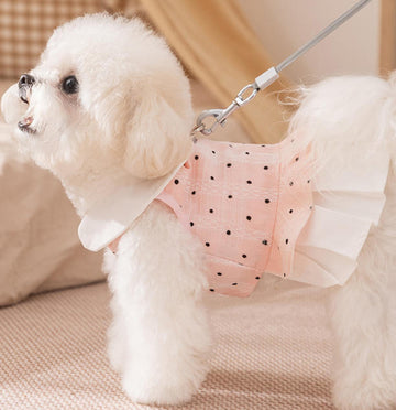New pet clothing Yorkshire Terrier Bichon autumn thin traction ladies dress dog clothes