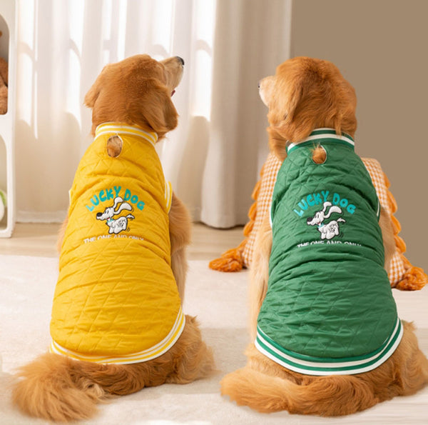 Autumn and winter dog warm medium and large dog golden retriever thick cotton coat border collie Samoyed pet clothes