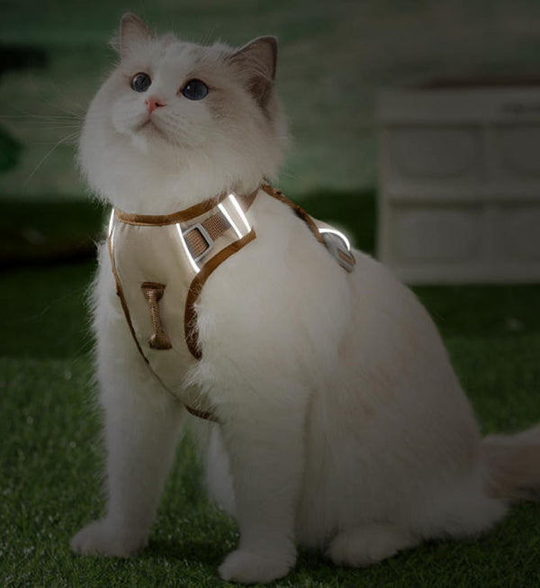 Cat traction rope three-proof lightweight versatile chest harness anti-breakaway special cat rope small dog rope cat walking rope