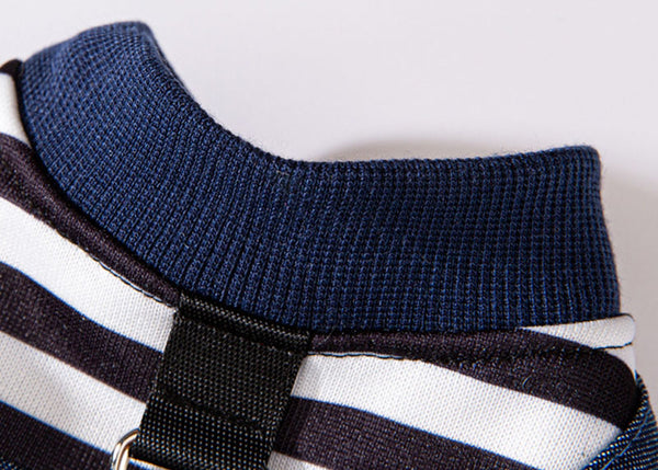 Salopette en denim rayée pour chat, vêtements fins à quatre pattes, mignons, automne et hiver, vêtements pour animaux de compagnie