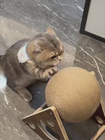 Balle à griffes rotative pour chat, jouet pour chat durable et anti-perte, cadre d'escalade en bois massif