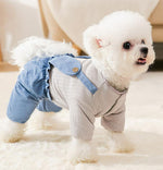 Puppy four feet autumn and winter clothes