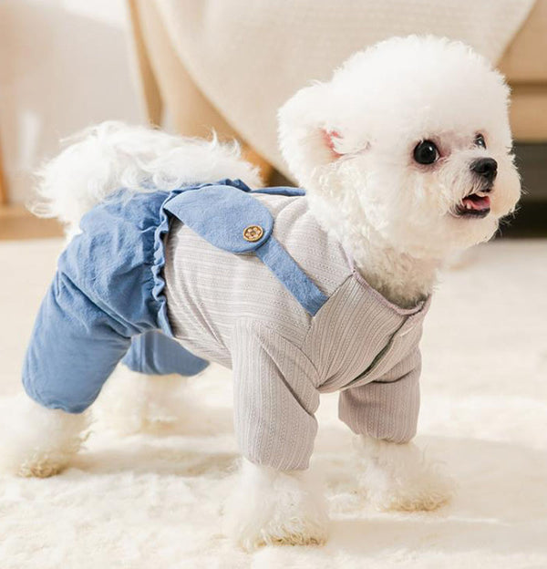 Puppy four feet autumn and winter clothes
