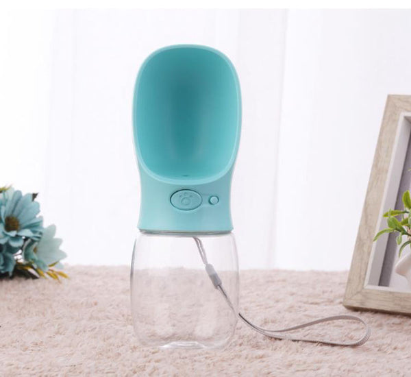 Bouteille d'eau pour chat chien extérieur