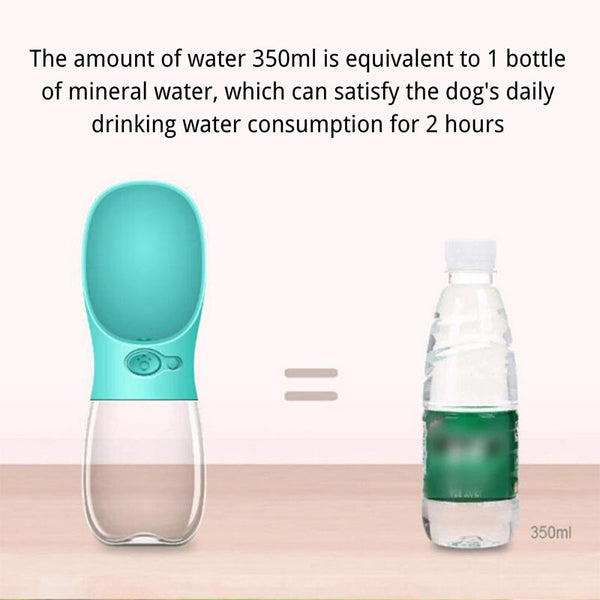 Bouteille d'eau pour chat chien extérieur