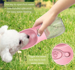 Bouteille d'eau pour chat chien extérieur