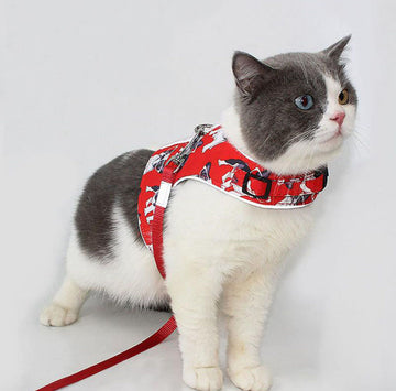 Harnais de chat réfléchissant anti-chocs respirant