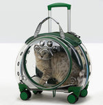 The new pet trolley case transparent go out portable pet backpack