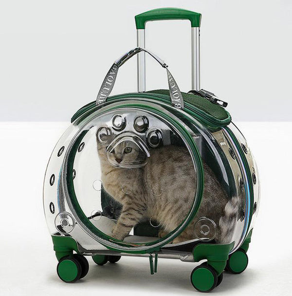 The new pet trolley case transparent go out portable pet backpack