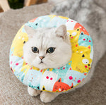 Elizabeth soft cute collar headgear