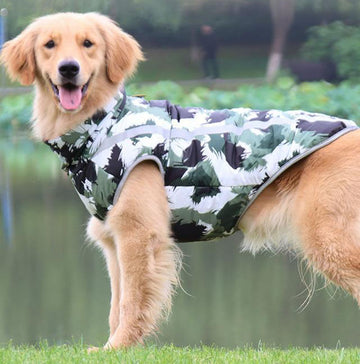 Autumn and Winter New Pet Clothes Thickened Warm Dog Padded Coats Large, Medium and Puppy Jackets Dog Clothes