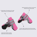 Kleine Hundewanderschuhe