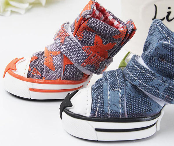 Zapatos para perros starfish canvas