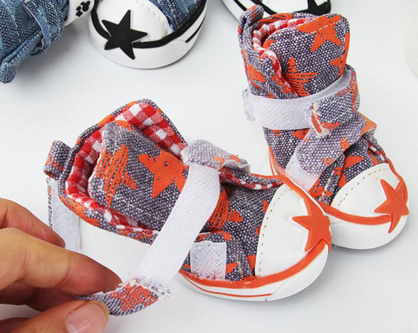 Zapatos para perros starfish canvas