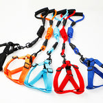 Puppy medium dog leash