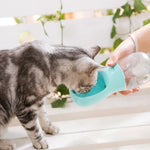 Bouteille d'eau pour chat chien extérieur