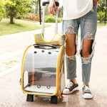 Pet backpack trolley