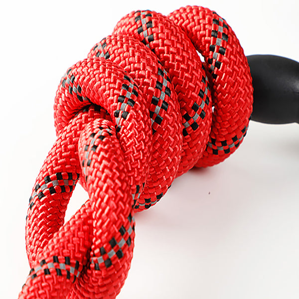 Puppy medium dog leash