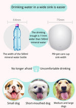 Bouteille d'eau pour chat chien extérieur