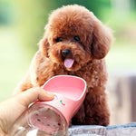Bouteille d'eau pour chat chien extérieur