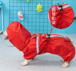 Corgi dog raincoat