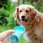 Bouteille d'eau pour chat chien extérieur