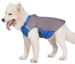 Bull dog New Winter Dog Clothes Thickened Reflective Dog Cotton Coat