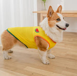 Gilet de printemps fin d'été Corgibago Fadou