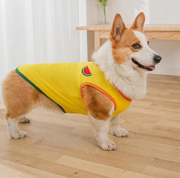 Gilet de printemps fin d'été Corgibago Fadou