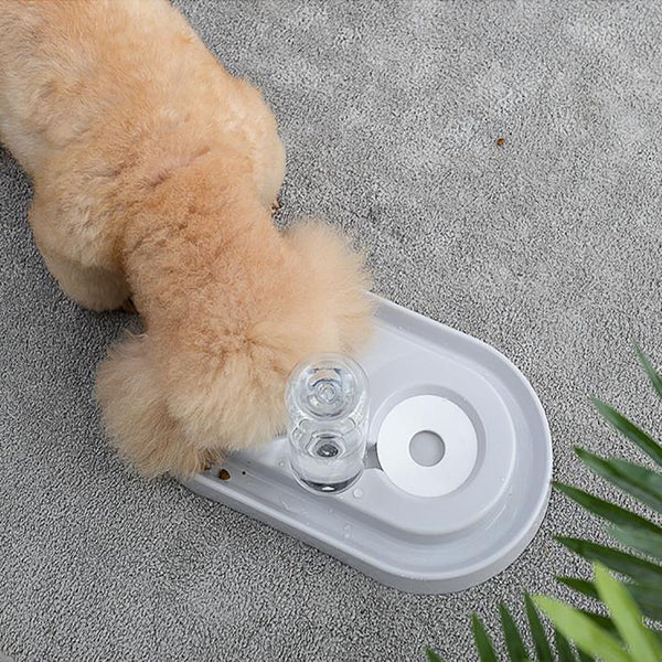Comedero automático para agua potable