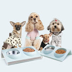 Oblique mouth pet eating drinking double bowl