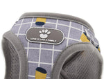 Pet Small Dog Reflective Vest Chest Strap Pet Leash