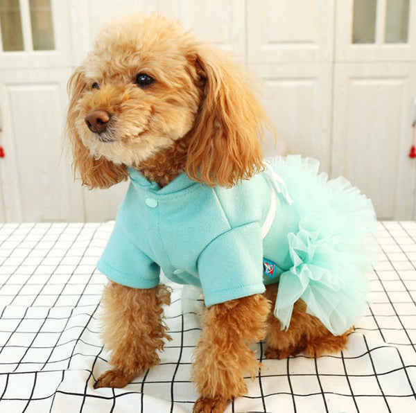 Falda de gato de perro pequeño de otoño e invierno