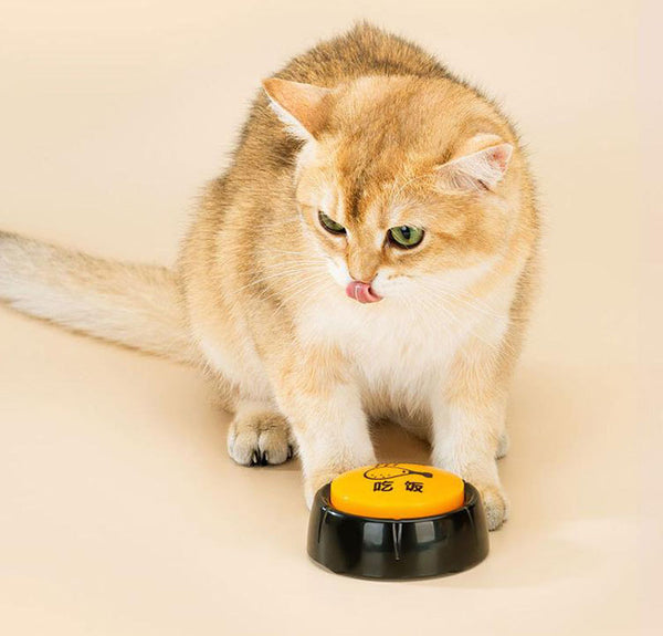 Pet ordering bell communication button to relieve boredom puppy training bite-resistant dog toy button sounder