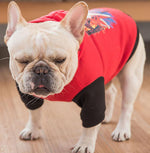 New autumn and winter hooded sweater small and medium-sized dog pet clothes