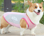 Corgi Cooling Vest Coole Sommerhaustierkleidung