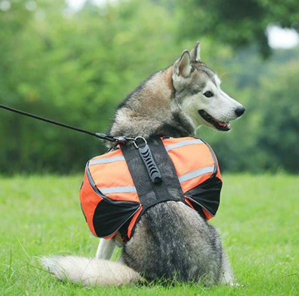 Oxford cloth pet pannier