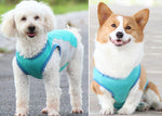 Corgi Cooling Vest Coole Sommerhaustierkleidung
