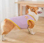 Gilet de printemps fin d'été Corgibago Fadou
