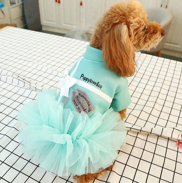Falda de gato de perro pequeño de otoño e invierno