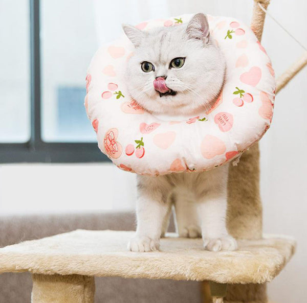 Elizabeth soft cute collar headgear