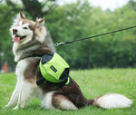 Oxford cloth pet pannier