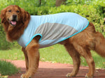 Corgi Cooling Vest Coole Sommerhaustierkleidung