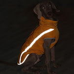 Autumn and winter new dog clothes reflective warm dog outdoor jacket