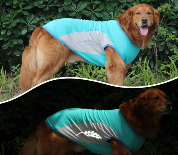 Corgi Cooling Vest Coole Sommerhaustierkleidung