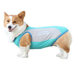 Corgi Cooling Vest Coole Sommerhaustierkleidung