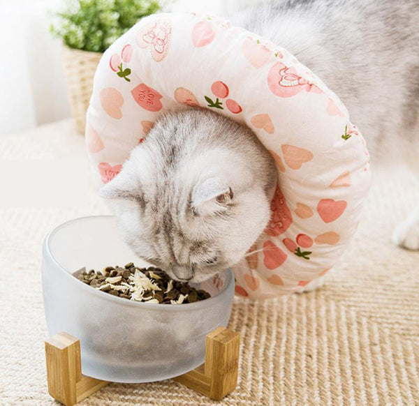 Elizabeth soft cute collar headgear