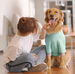 Golden Retriever Vest Samoyed Husky Border Shepherd Medium Large Dog Thin Summer Clothing