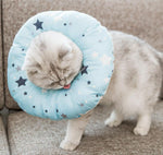 Elizabeth soft cute collar headgear